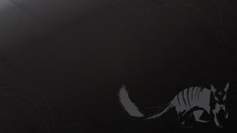 Numbat Wallpaper