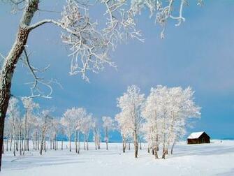 Wallpaper Winter Desktop And Background