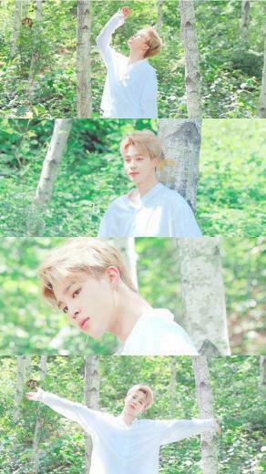 Bts Season S Greetings Spot Jimin Wallpaper In