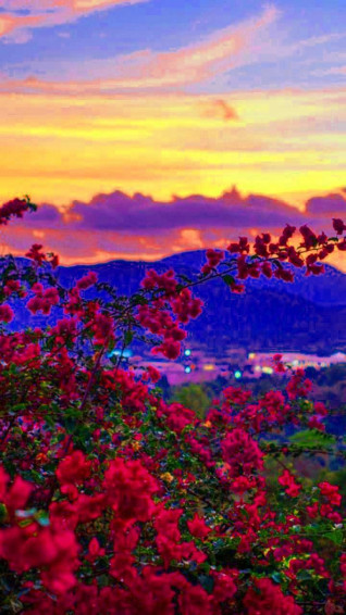 Spring Wallpaper Browse With Collections Of