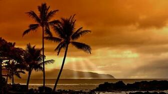 Nature Wallpaper Full HD 1920 Jpg May 3m