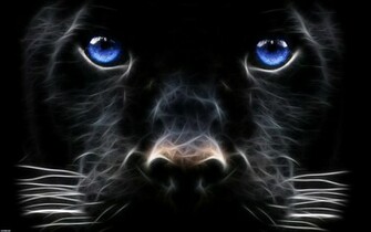 Black Beast Wallpaper