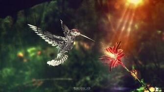 Beautiful Colibri Bird HD Wallpaper Best Flower
