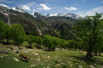 HD Wallpaper Kashmir Wallpapes