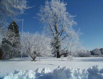 Winter Wallpaper