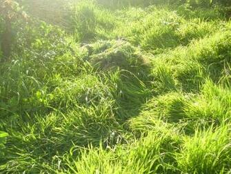 Snow Ghillie Suit Hiding Imgkid The Image Kid