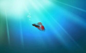 Ten Desktop HD Wallpaper For All Types You Want