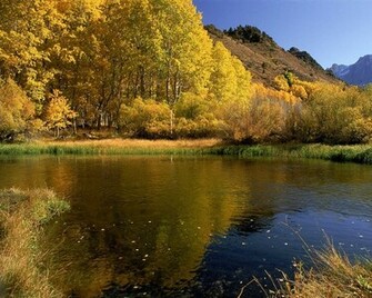HD Animated Wallpaper For Desktop Fall