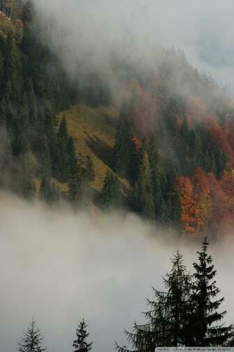 Foggy Mountain Forest 4k HD Desktop Wallpaper For Ultra