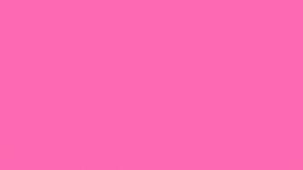 Solid Pink Gallery