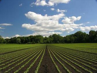 Landscapes Symmetry Farmland HD Wallpaper Nature