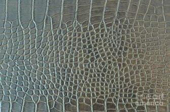 Crocodile Skin Fineartamerica Featured