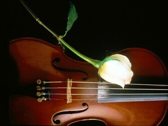 Musical Instrument Wallpaper