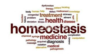 Homeostasis Animated Word Cloud Text Design Animation Hi Res