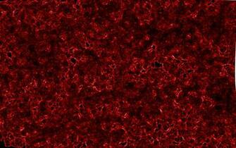 Amazing Wallpaper Crimson HDq Cover