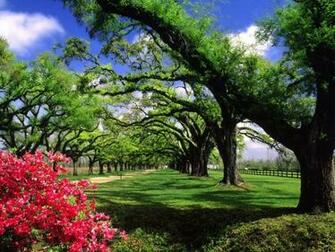 Nature Wallpaper HD Screensaver