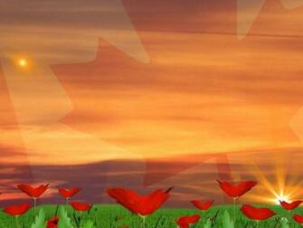 Remembrance Day Wallpaper
