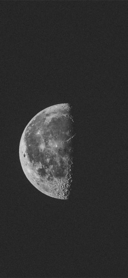Half Background Wallpaper
