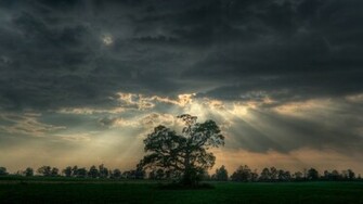 High Definition Wallpaper 1080p HD Background
