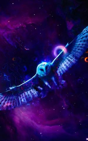 Neon Owl 4k Ultra HD Mobile Wallpaper