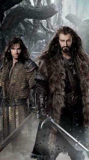 The Desolation Of Smaug Wallpaper iPhone