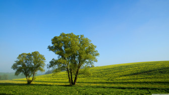 Spring Landscape Nature Ultra HD Desktop Background Wallpaper For