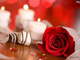 Roses Wallpaper