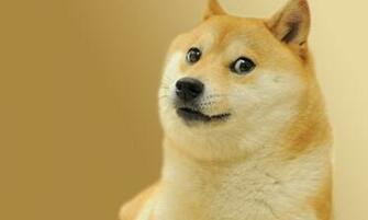 Doge Simple Wallpaper