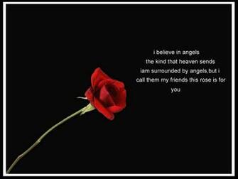 Angel Rose Heaven Nature Flowers HD Desktop Wallpaper