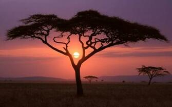 Best Savannah Desktop Background Beautiful