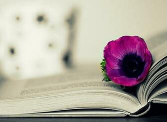 Purple Flower On Open Book Wallpaper For Kindle Fire HD