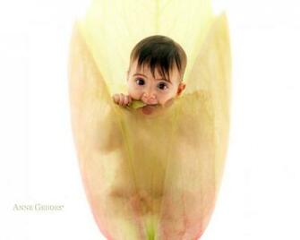 Anne Geddes B Mignon Fonds D Cran HD