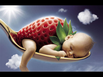 Funny Wallpaper