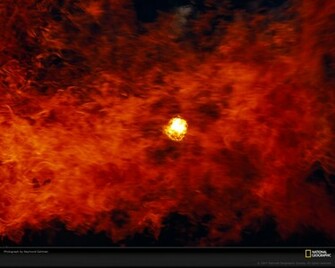 Forest Fire Flames Picture Desktop Wallpaper