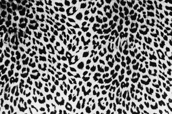 Black And White Animal Print Wallpaper