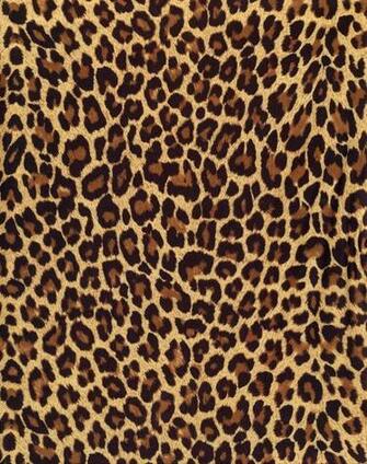Leopard Texture