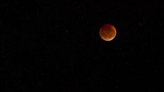 Blood
