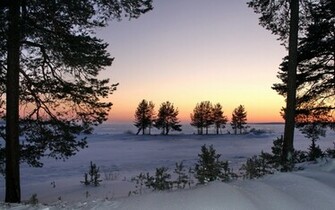 Winter Sunset Wallpaper