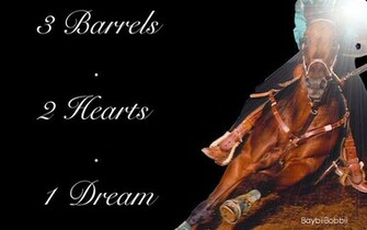 Barrel Racing Graphics Code Comments Pictures