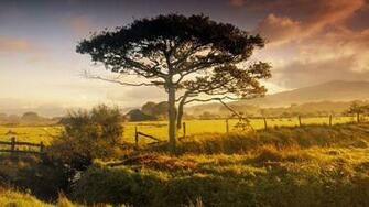Wales Wallpaper