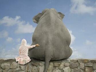 Elephant HD Wallpaper Full Animal