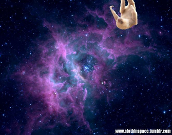 Space Sloth Wallpaper In