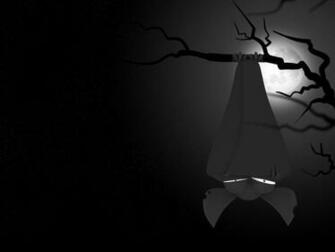 Vampire Bat Wallpaper HD In Animals Imageci