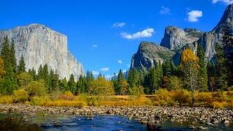 Wallpaper Os iPhone 5k Forest Osx Apple