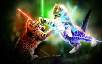 Kittens Wallpaper Animals Cats HD Desktop