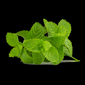 Mint Wallpaper S