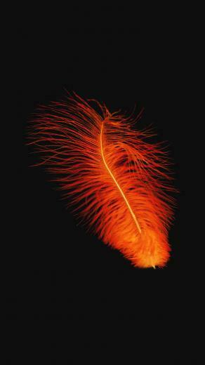 iPhonepapers iPhone Wallpaper An98 Feather Orange Dark