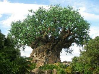Disney Animal Kingdom All In One Wallpaper