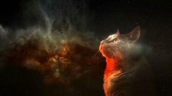 Hipster Cat Background