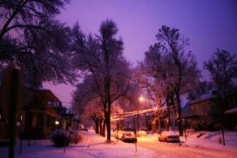 Related Pictures Wallpaper Background Nature Avenue Trees Green Road